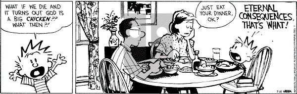 Calvin and Hobbes - Wednesday July 15, 1992 Comic Strip