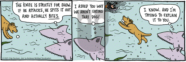 Overboard on Saturday August 14, 2021 Comic Strip