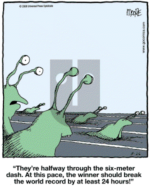 In the Bleachers - Tuesday August 26, 2008 Comic Strip