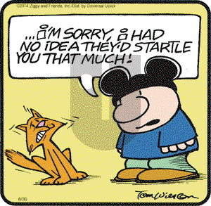 Ziggy on Saturday August 30, 2014 Comic Strip