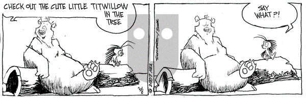 The Grizzwells on Thursday February 8, 2007 Comic Strip