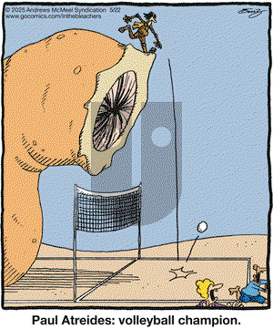 In the Bleachers on Thursday May 22, 2025 Comic Strip