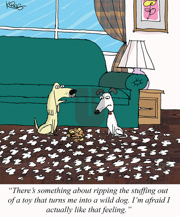 Jerry King Comics on Monday April 21, 2025 Comic Strip
