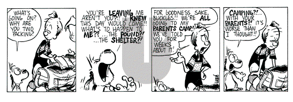 Buckles - Monday August 8, 2022 Comic Strip