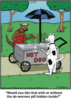 Close to Home on Saturday October 21, 2023 Comic Strip