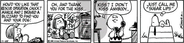 Peanuts - Tuesday November 25, 1980 Comic Strip