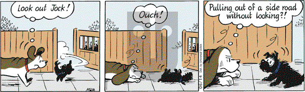 Fred Basset on Tuesday June 14, 2011 Comic Strip