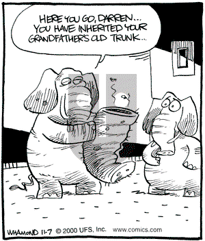 Reality Check on Tuesday November 7, 2000 Comic Strip