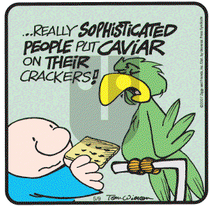 Ziggy - Wednesday May 9, 2007 Comic Strip