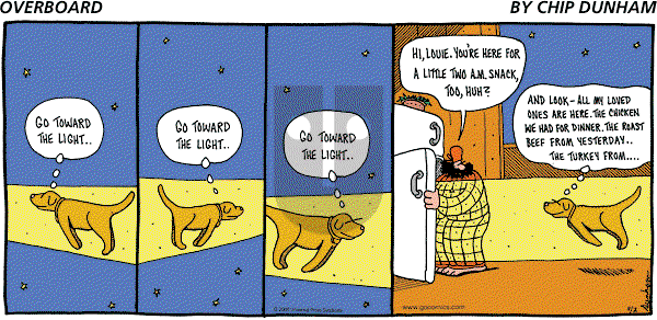 Overboard - Sunday November 2, 2008 Comic Strip