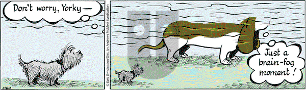 Fred Basset on Friday October 1, 2021 Comic Strip