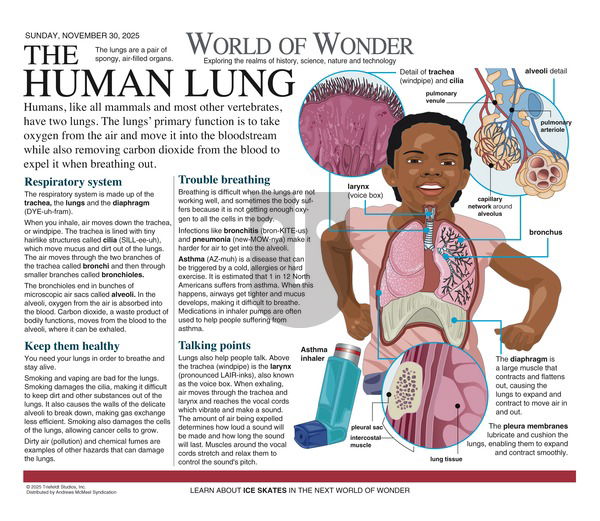 World of Wonder on Sunday November 30, 2025 Comic Strip