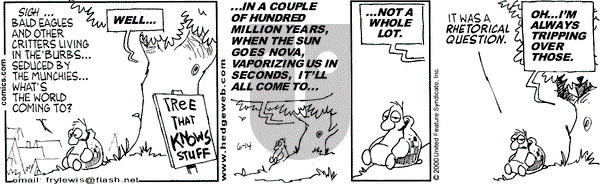 Over the Hedge on Wednesday June 14, 2000 Comic Strip