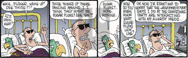 Monty on Monday December 24, 2012 Comic Strip