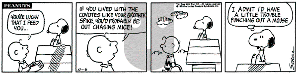 Peanuts on Thursday November 6, 1975 Comic Strip