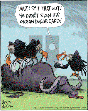 The Flying McCoys on Friday April 18, 2014 Comic Strip