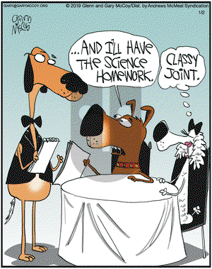 The Flying McCoys on Wednesday January 2, 2019 Comic Strip