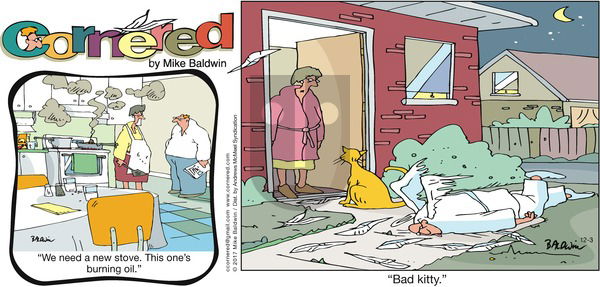 Cornered on Sunday December 3, 2017 Comic Strip