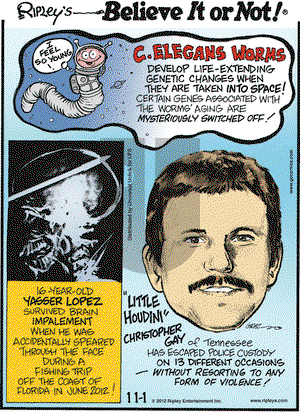 Ripley's Believe It or Not on Thursday November 1, 2012 Comic Strip