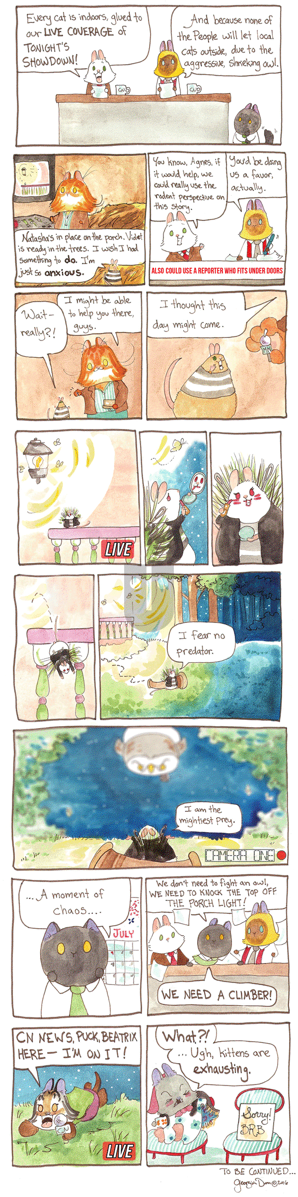 Breaking Cat News on Thursday July 21, 2016 Comic Strip