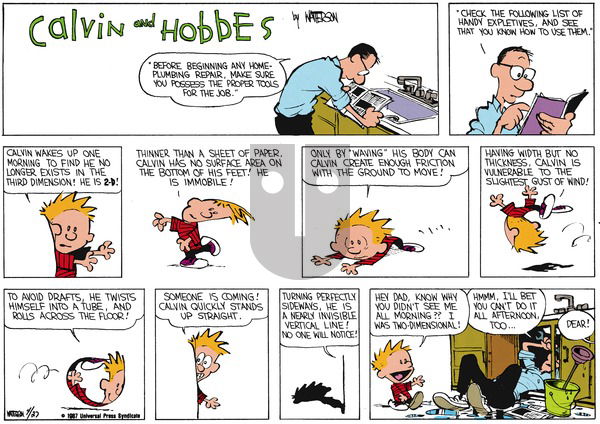Calvin and Hobbes on Sunday May 31, 1987 Comic Strip