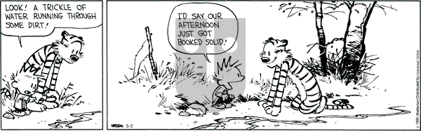 Calvin and Hobbes on Saturday May 2, 2015 Comic Strip