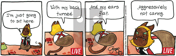 Breaking Cat News on Thursday March 21, 2019 Comic Strip