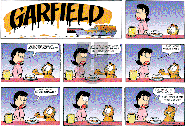 Garfield - Sunday November 15, 2009 Comic Strip