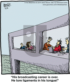In the Bleachers on Friday July 18, 2014 Comic Strip