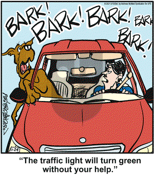 Marmaduke on Wednesday November 24, 2021 Comic Strip