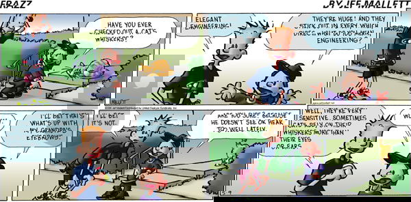 Frazz on Sunday May 9, 2010 Comic Strip