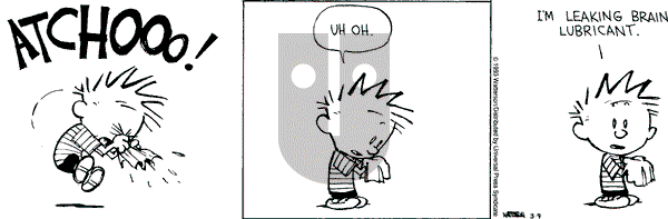 Calvin and Hobbes - Tuesday March 9, 1993 Comic Strip