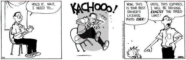Calvin and Hobbes on Saturday September 2, 1995 Comic Strip