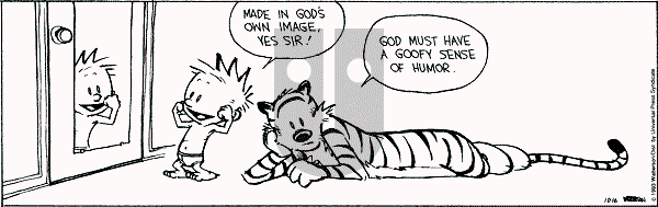 Calvin and Hobbes - Saturday October 16, 1993 Comic Strip