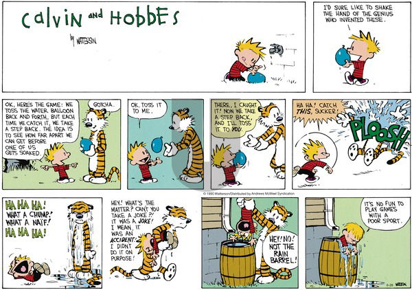 Calvin and Hobbes - Sunday June 28, 2020 Comic Strip