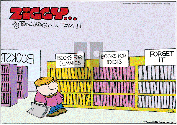 Ziggy - Sunday December 18, 2005 Comic Strip