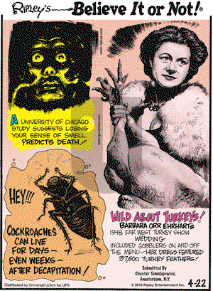 Ripley's Believe It or Not on Wednesday April 22, 2015 Comic Strip