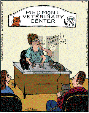 Close to Home on Tuesday December 17, 2024 Comic Strip