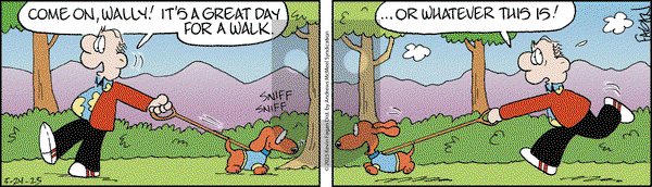 Drabble on Saturday May 24, 2025 Comic Strip