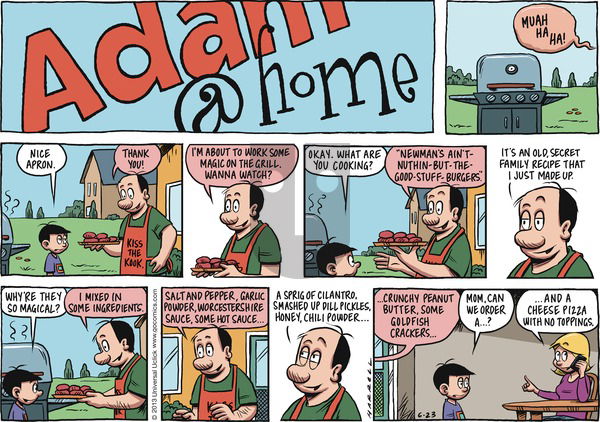 Adam@Home on Sunday June 23, 2013 Comic Strip