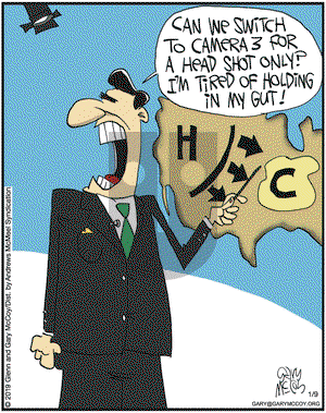 The Flying McCoys on Wednesday January 9, 2019 Comic Strip