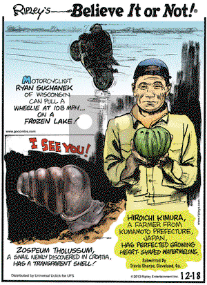 Ripley's Believe It or Not on Wednesday December 18, 2013 Comic Strip