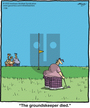 In the Bleachers - Saturday July 30, 2022 Comic Strip
