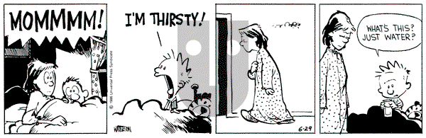Calvin and Hobbes on Saturday June 29, 1991 Comic Strip