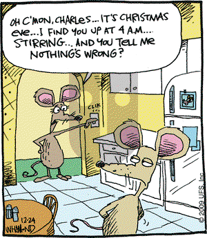 Reality Check on Thursday December 24, 2009 Comic Strip
