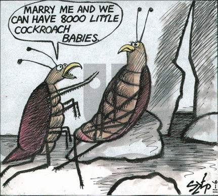 Today's Szep on Wednesday February 15, 2023 Comic Strip