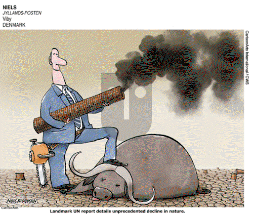 ViewsBusiness on Thursday May 9, 2019 Comic Strip