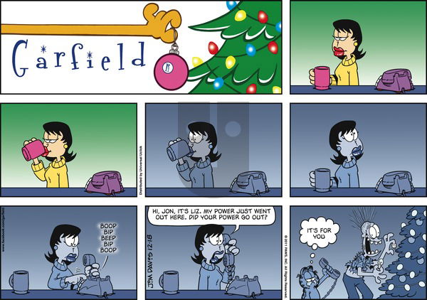 Garfield on Sunday December 18, 2011 Comic Strip