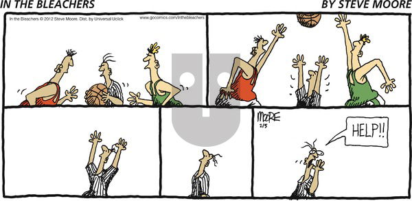 In the Bleachers on Sunday February 5, 2012 Comic Strip
