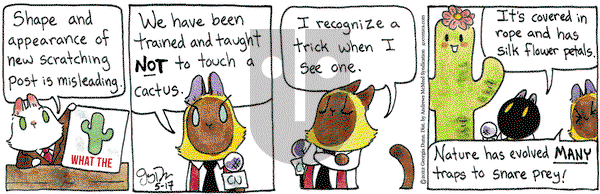 Breaking Cat News - Tuesday May 17, 2022 Comic Strip